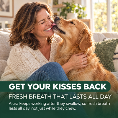 Alura - Dental Chews