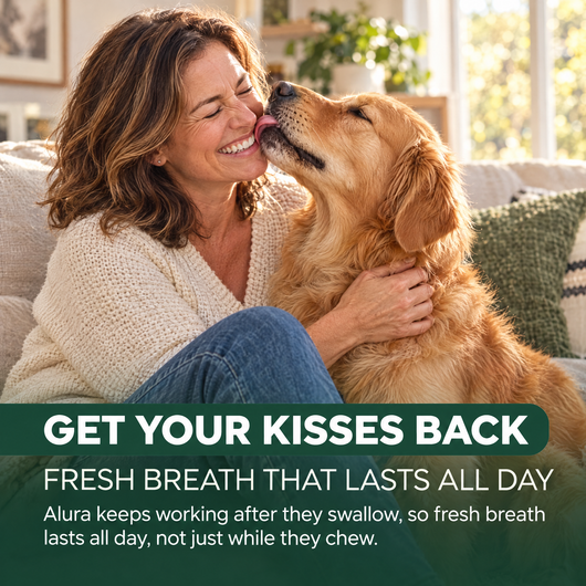 Alura - Dental Chews