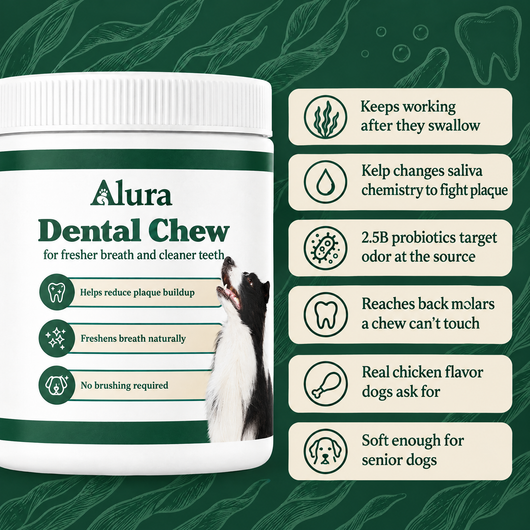 Alura - Dental Chews