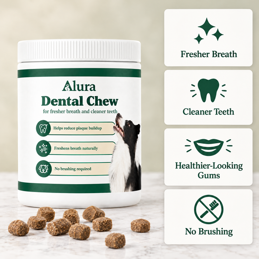 Alura - Dental Chews