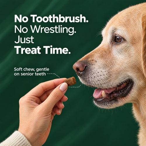 Alura - Dental Chews