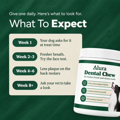 Alura - Dental Chews